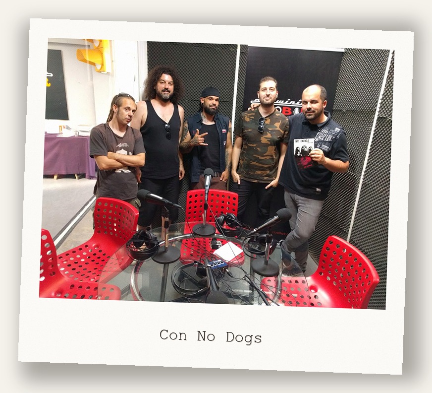 Con No Dogs