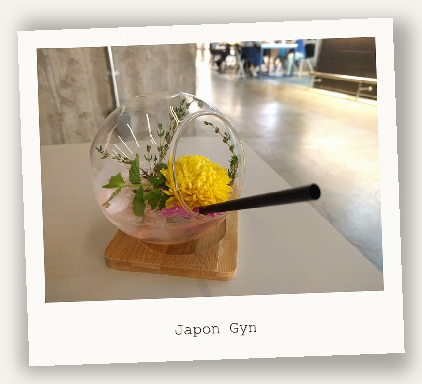 Japon Gyn